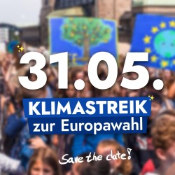 Klimastreik zur Europawahl